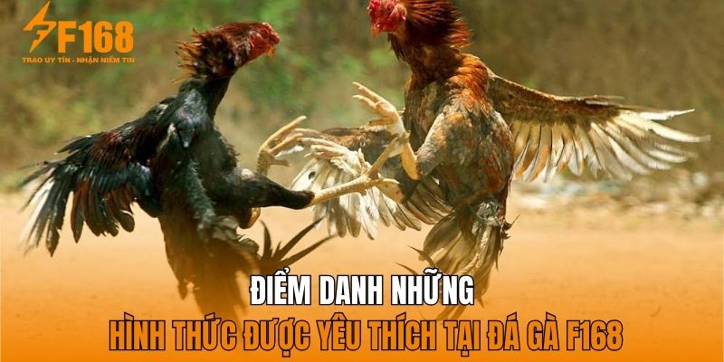 Điểm danh những hình thức được yêu thích tại đá gà F168