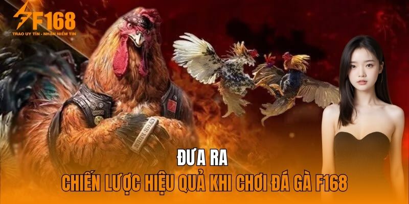 Đưa ra chiến lược hiệu quả khi chơi đá gà F168