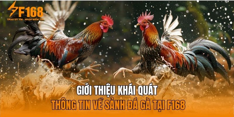 Giới thiệu khái quát thông tin về sảnh đá gà tại F168