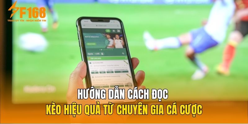 Hướng dẫn cách đọc kèo hiệu quả từ chuyên gia cá cược