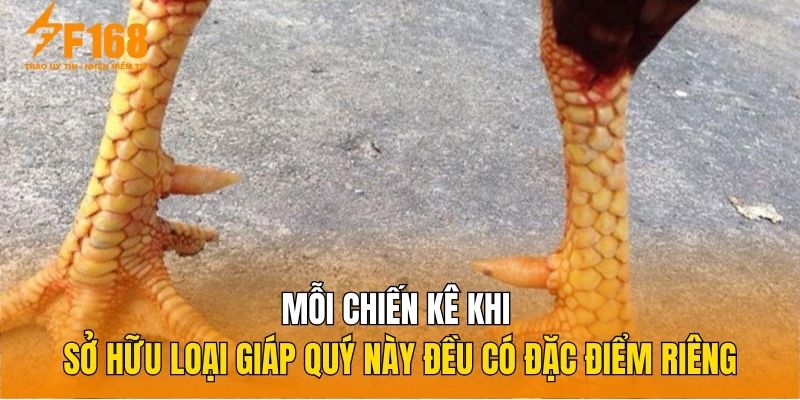 Mỗi chiến kê khi sở hữu loại giáp quý này đều có đặc điểm riêng