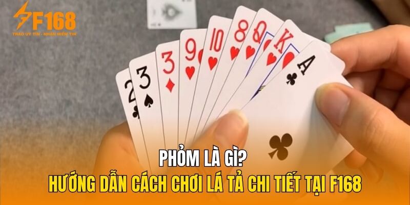 Phỏm Là Gì? Hướng Dẫn Cách Chơi Lá Tả Chi Tiết Tại F168