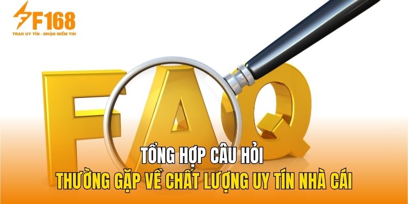 Tổng hợp câu hỏi thường gặp về chất lượng uy tín nhà cái