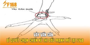 Vảy Vấn Cán - Bí Quyết Chọn Chiến Kê Thi Đấu Mạnh Mẽ Tại F168